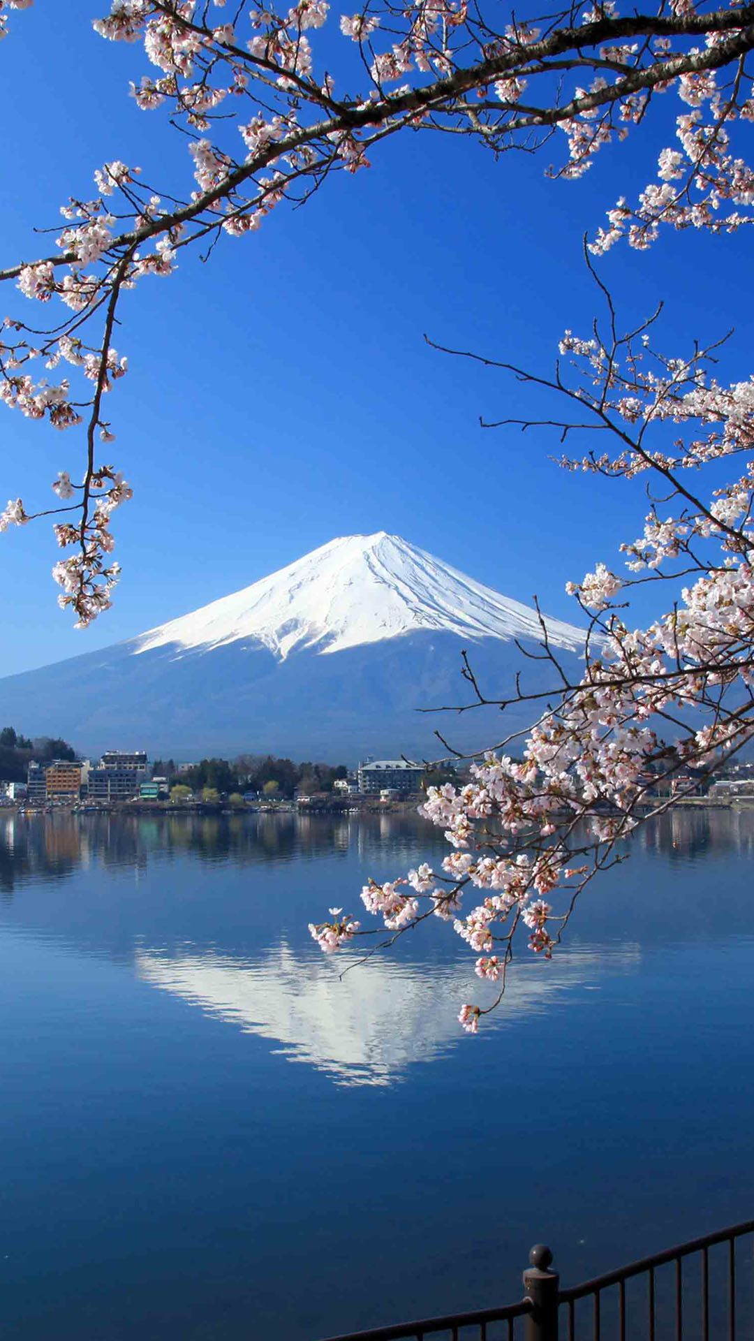 Mount Fuji